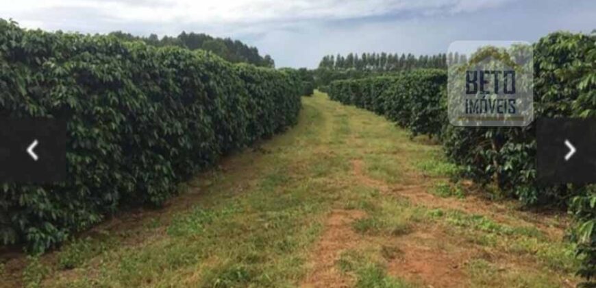 Oportunidade Única. Fazenda Café, Cereais e Pecuária 1.060 hectares Infraestrutura Completa | Região de Araxá/ MG