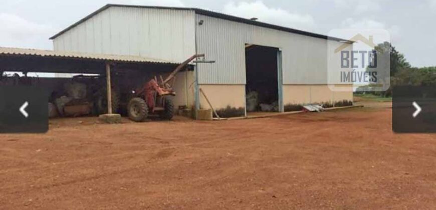 Oportunidade Única. Fazenda Café, Cereais e Pecuária 1.060 hectares Infraestrutura Completa | Região de Araxá/ MG