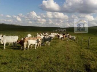 Oportunidade Única. Fazenda Café, Cereais e Pecuária 1.060 hectares Infraestrutura Completa | Região de Araxá/ MG