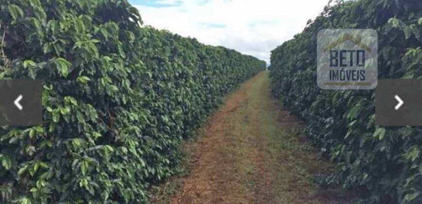 Oportunidade Única. Fazenda Café, Cereais e Pecuária 1.060 hectares Infraestrutura Completa | Região de Araxá/ MG