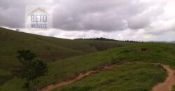 Fazenda à Venda 92 Alqueires com Potencial Pecuário | Rio das Flores/ RJ