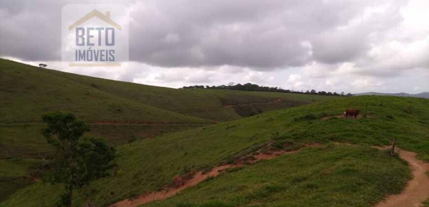 Fazenda à Venda 92 Alqueires com Potencial Pecuário | Rio das Flores/ RJ