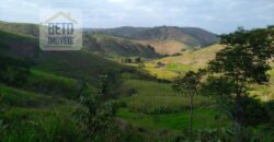 Fazenda à Venda 92 Alqueires com Potencial Pecuário | Rio das Flores/ RJ