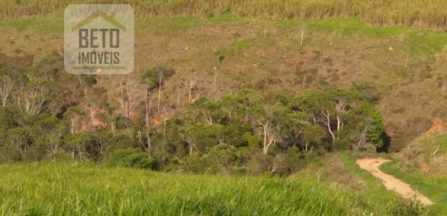 Fazenda à Venda 92 Alqueires com Potencial Pecuário | Rio das Flores/ RJ