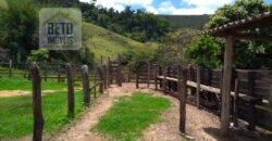 Fazenda à Venda 92 Alqueires com Potencial Pecuário | Rio das Flores/ RJ