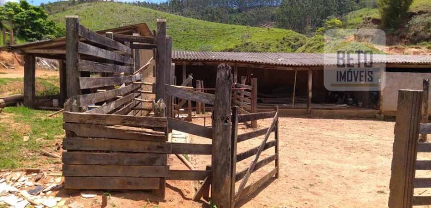 Fazenda à Venda 92 Alqueires com Potencial Pecuário | Rio das Flores/ RJ