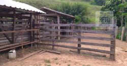 Fazenda à Venda 92 Alqueires com Potencial Pecuário | Rio das Flores/ RJ