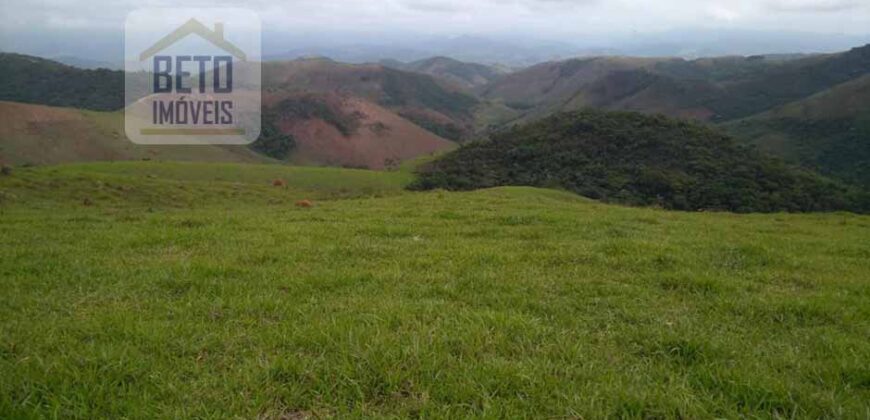 Fazenda à Venda 92 Alqueires com Potencial Pecuário | Rio das Flores/ RJ