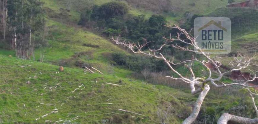 Fazenda à Venda 92 Alqueires com Potencial Pecuário | Rio das Flores/ RJ