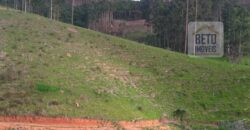 Fazenda à Venda 92 Alqueires com Potencial Pecuário | Rio das Flores/ RJ