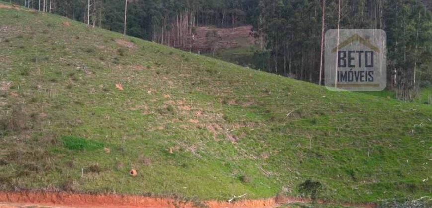 Fazenda à Venda 92 Alqueires com Potencial Pecuário | Rio das Flores/ RJ