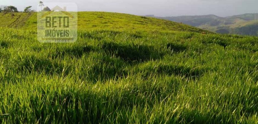 Fazenda à Venda 92 Alqueires com Potencial Pecuário | Rio das Flores/ RJ