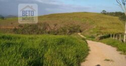 Fazenda à Venda 92 Alqueires com Potencial Pecuário | Rio das Flores/ RJ