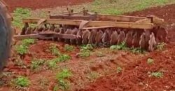 Fazenda à Venda 330 Alqueires com Pontecial Agrícula e Logística | Ribeirão Cascalheira/ MT