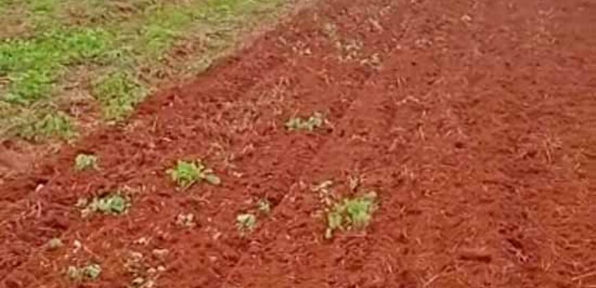 Fazenda à Venda 330 Alqueires com Pontecial Agrícula e Logística | Ribeirão Cascalheira/ MT