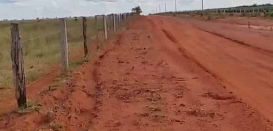 Fazenda à Venda 330 Alqueires com Pontecial Agrícula e Logística | Ribeirão Cascalheira/ MT