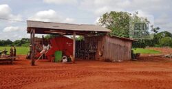 Fazenda à Venda 330 Alqueires com Pontecial Agrícula e Logística | Ribeirão Cascalheira/ MT