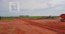 Fazenda à Venda 330 Alqueires com Pontecial Agrícula e Logística | Ribeirão Cascalheira/ MT