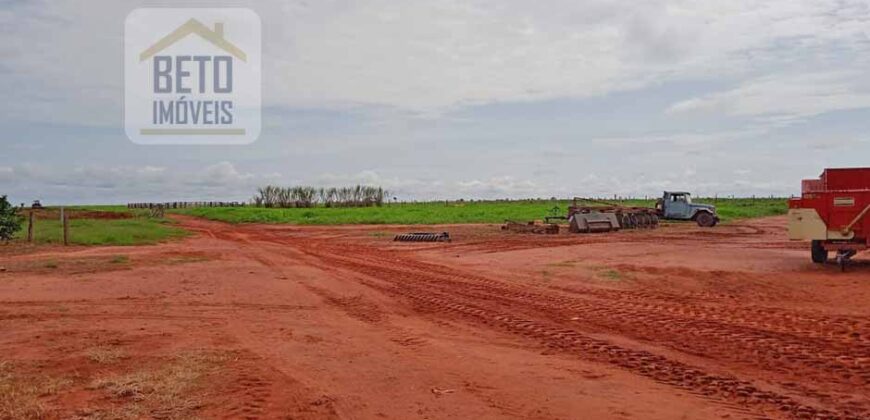 Fazenda à Venda 330 Alqueires com Pontecial Agrícula e Logística | Ribeirão Cascalheira/ MT