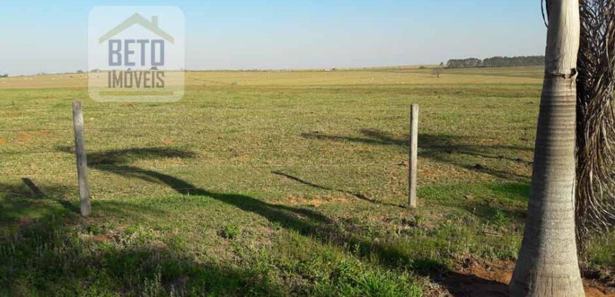 Fazenda de Alto Padrão 450 Alqueires c/ Haras, Pecuária e Lavoura de Grãos  | Região de Presidente Prudente/ SP