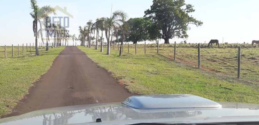 Fazenda de Alto Padrão 450 Alqueires c/ Haras, Pecuária e Lavoura de Grãos  | Região de Presidente Prudente/ SP