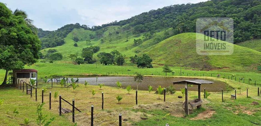 Oportunidade Única: Fazenda 76 alq. Potencial Econômico, Ambiental e Turístico | Casimiro de Abreu/ RJ