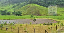 Oportunidade Única: Fazenda 76 alq. Potencial Econômico, Ambiental e Turístico | Casimiro de Abreu/ RJ