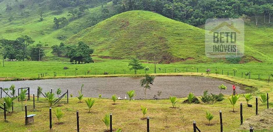 Oportunidade Única: Fazenda 76 alq. Potencial Econômico, Ambiental e Turístico | Casimiro de Abreu/ RJ