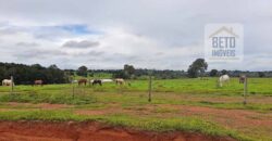 Venda imperdível: Fazenda 1.050 alq. Pecuária Estrutura Completa | Divisa com Goias/ TO