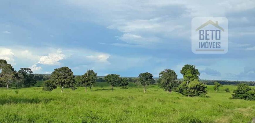 Venda imperdível: Fazenda 1.050 alq. Pecuária Estrutura Completa | Divisa com Goias/ TO