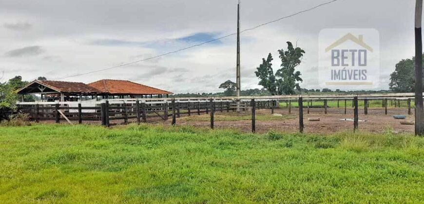 Venda imperdível: Fazenda 1.050 alq. Pecuária Estrutura Completa | Divisa com Goias/ TO