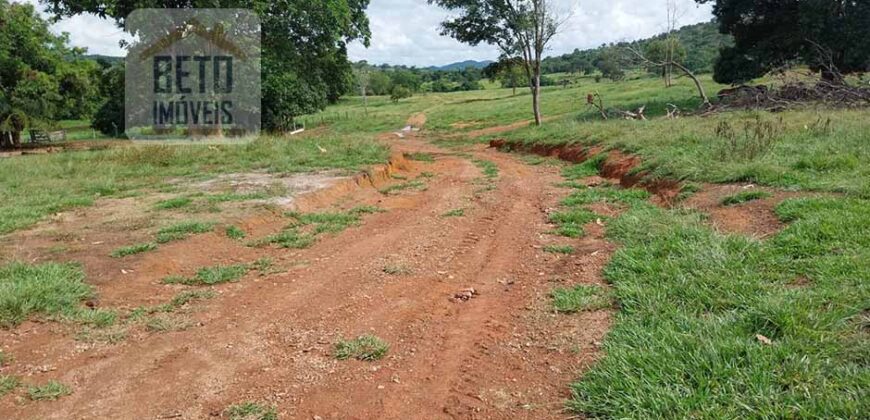 Fazenda à Venda 107 alqueires para Agropecuária com Linda Casa Sede | Rio Verde/ GO