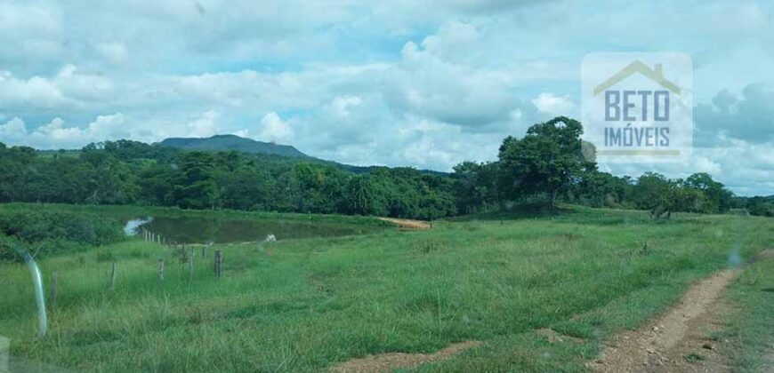 Fazenda à Venda 107 alqueires para Agropecuária com Linda Casa Sede | Rio Verde/ GO