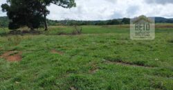 Fazenda à Venda 107 alqueires para Agropecuária com Linda Casa Sede | Rio Verde/ GO