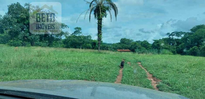 Fazenda à Venda 107 alqueires para Agropecuária com Linda Casa Sede | Rio Verde/ GO