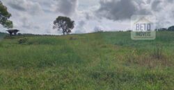 Fazenda à Venda 107 alqueires para Agropecuária com Linda Casa Sede | Rio Verde/ GO