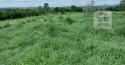 Fazenda à Venda 107 alqueires para Agropecuária com Linda Casa Sede | Rio Verde/ GO