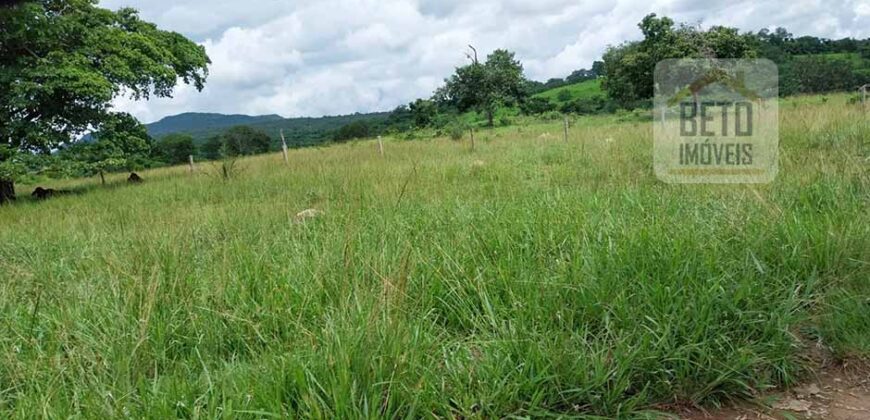 Fazenda à Venda 107 alqueires para Agropecuária com Linda Casa Sede | Rio Verde/ GO