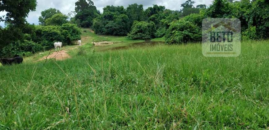 Fazenda à Venda 107 alqueires para Agropecuária com Linda Casa Sede | Rio Verde/ GO