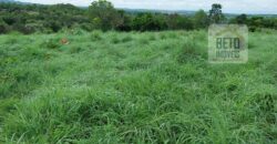 Fazenda à Venda 107 alqueires para Agropecuária com Linda Casa Sede | Rio Verde/ GO