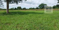 Fazenda à Venda 107 alqueires para Agropecuária com Linda Casa Sede | Rio Verde/ GO