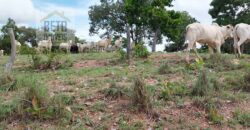 Fazenda à Venda 107 alqueires para Agropecuária com Linda Casa Sede | Rio Verde/ GO