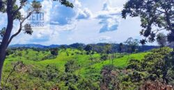 Venda imperdível: Fazenda paradisíaca com 225 alq Estrutura Pecuária | Padre Bernardo/ GO