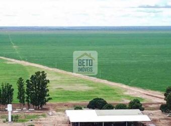 Fazenda à Venda 13.035 hectares Infraestrutura Completa lavoura | Região de Cocos/ BA