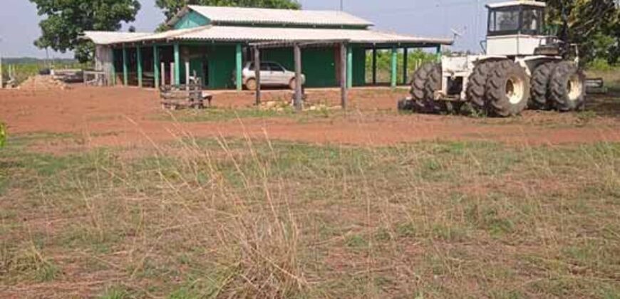 Fazenda à Venda 202 Alqueires Grande Oportunidade de Negócio | Sta. Maria da Barreira/ P