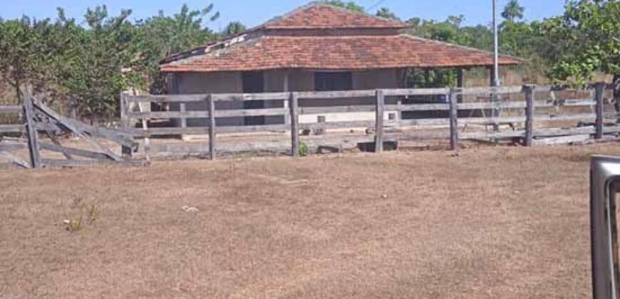 Fazenda à Venda 202 Alqueires Grande Oportunidade de Negócio | Sta. Maria da Barreira/ P