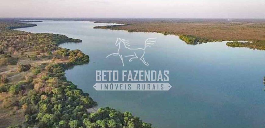 Mega Fazenda à Venda 100.532 Hectares Lavoura, Pecuária e Pista e Pouso | Cocalinho/ MT