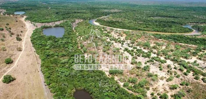 Mega Fazenda à Venda 100.532 Hectares Lavoura, Pecuária e Pista e Pouso | Cocalinho/ MT