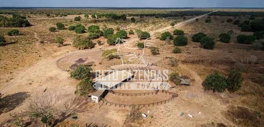 Mega Fazenda à Venda 100.532 Hectares Lavoura, Pecuária e Pista e Pouso | Cocalinho/ MT