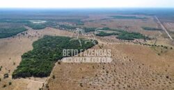 Mega Fazenda à Venda 100.532 Hectares Lavoura, Pecuária e Pista e Pouso | Cocalinho/ MT